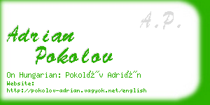 adrian pokolov business card